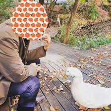 tmpjtcndd5x.jpg